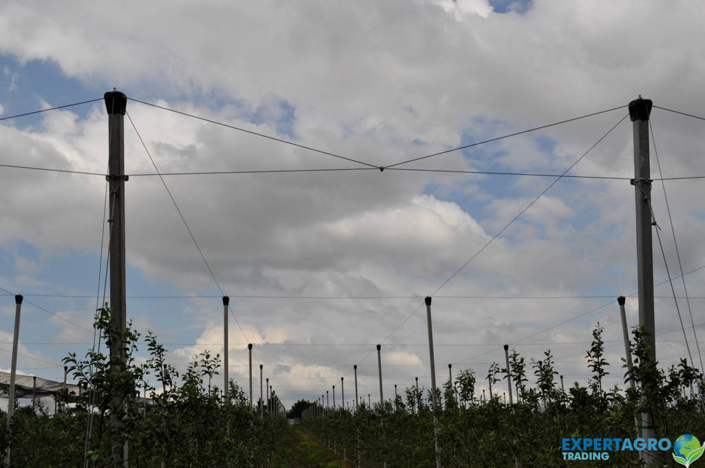 _DSC0681